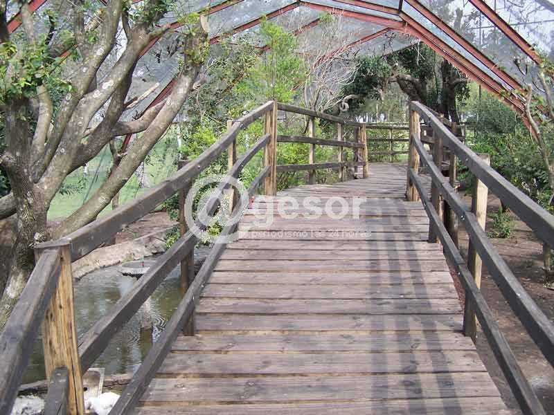 Edil Antognazza pide cambio urgente o cierre del Zoológico municipal, expresando “mi más profunda preocupación ante el maltrato animal”